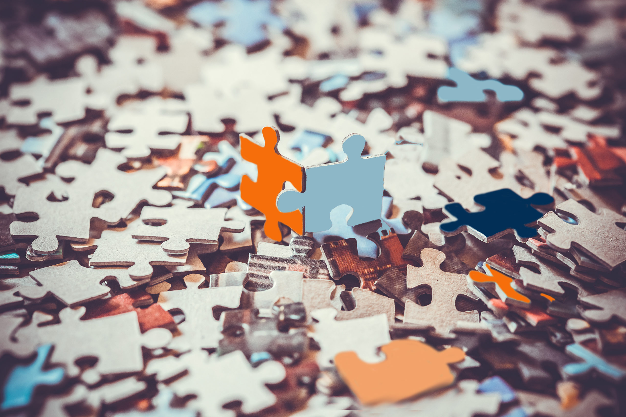 PARTNERS WITH IMPACT