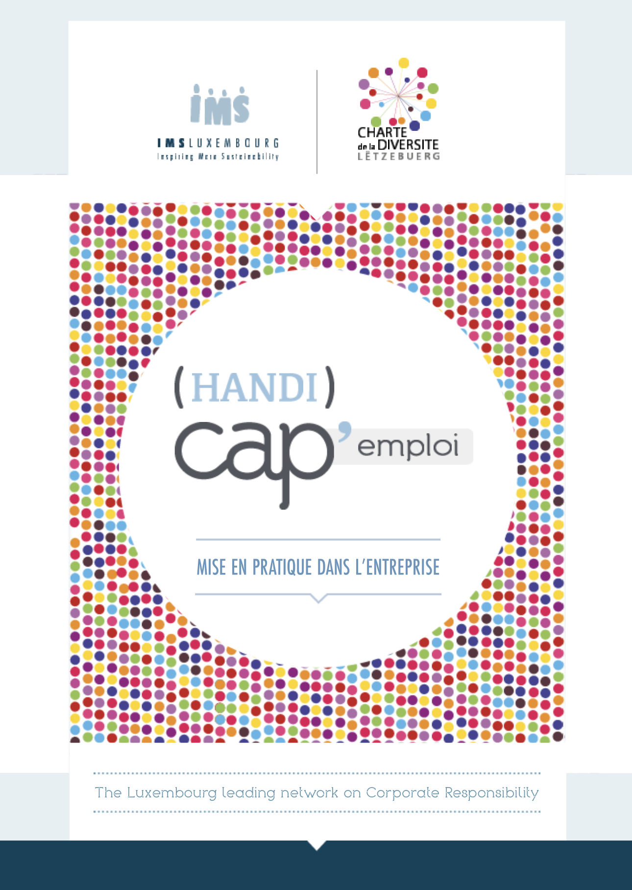E-book (Handi)Cap&rsquo; Emploi : mise en pratique dans l&rsquo;entreprise