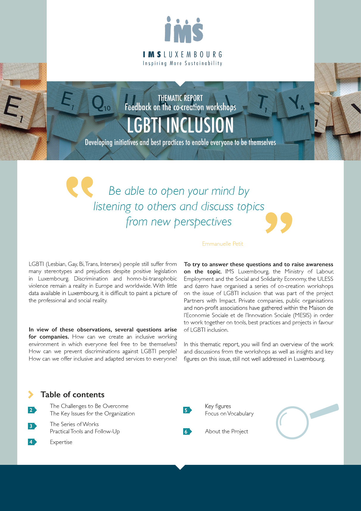 Rapport thématique : l&rsquo;inclusion des personnes LGBTI